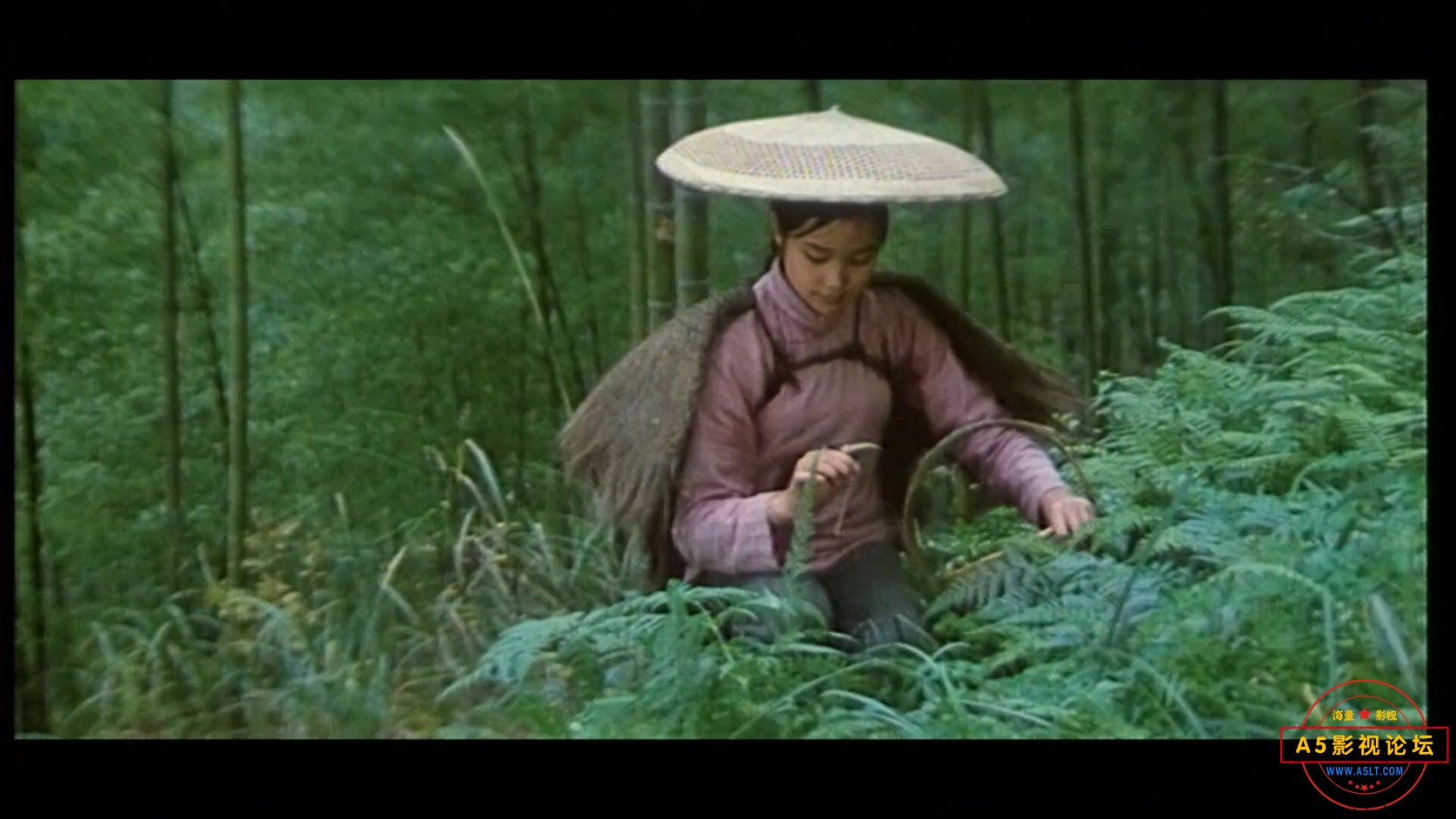 边城.MP4_20250205_152603.482.jpg