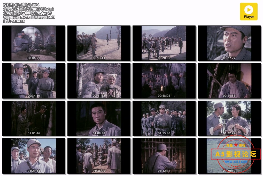 豹子湾战斗.MP4.jpg