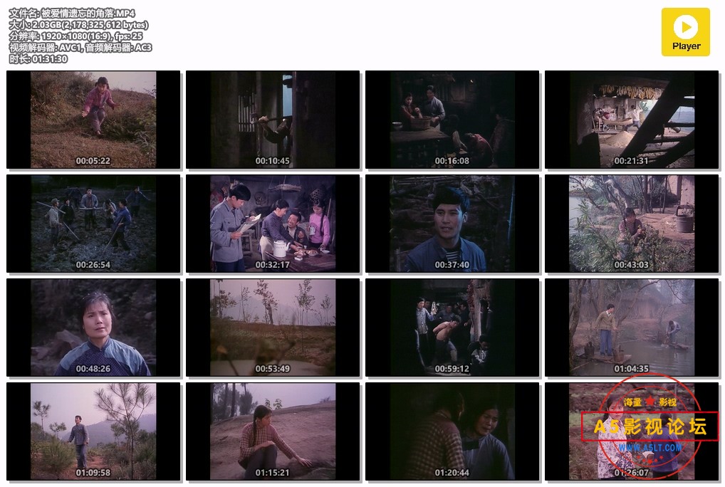 被爱情遗忘的角落.MP4.jpg