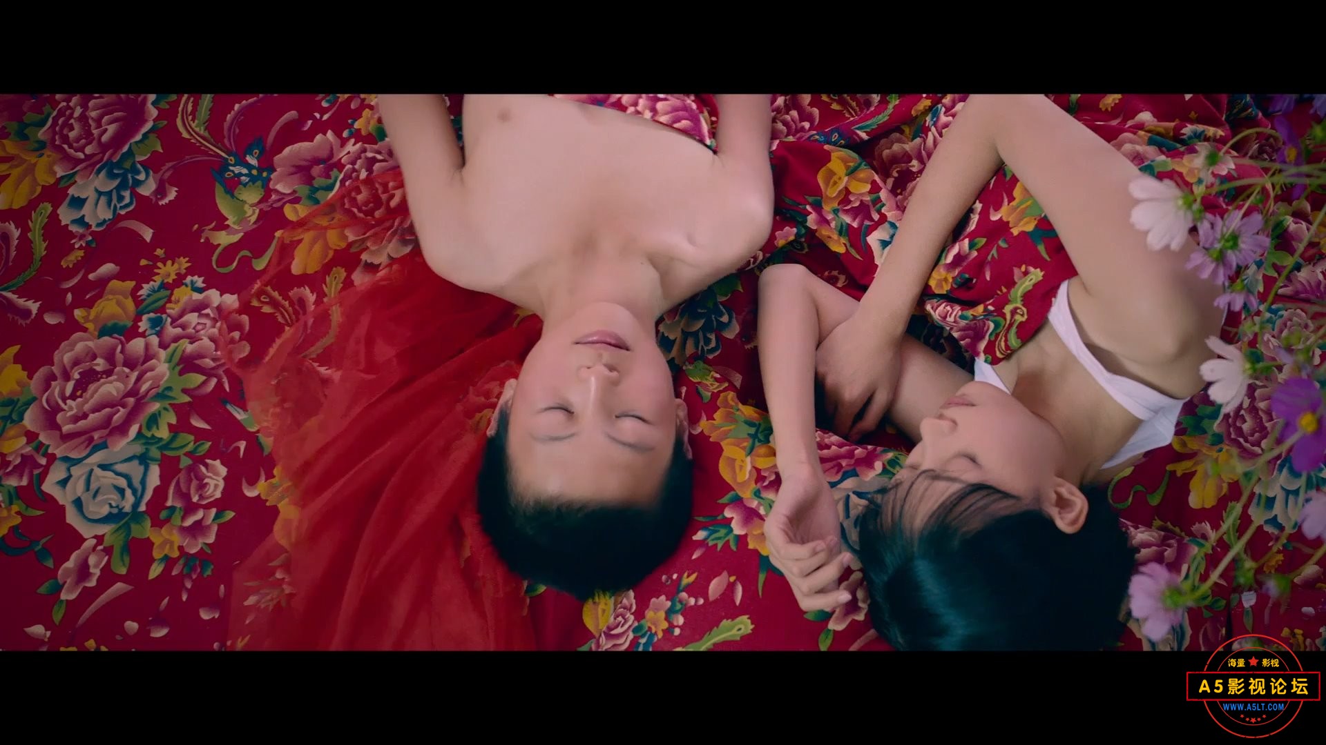 [人人電影网：www.rrdyw.cc]我的青春期.My.Original.Dream.2015.HD1080P.导演剪辑版..jpg