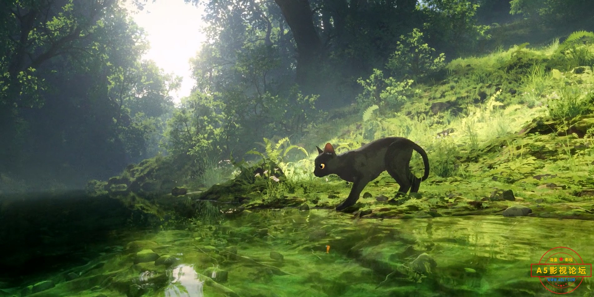 猫猫的奇幻漂流_x264.mp4_20250218_141412.550.jpg
