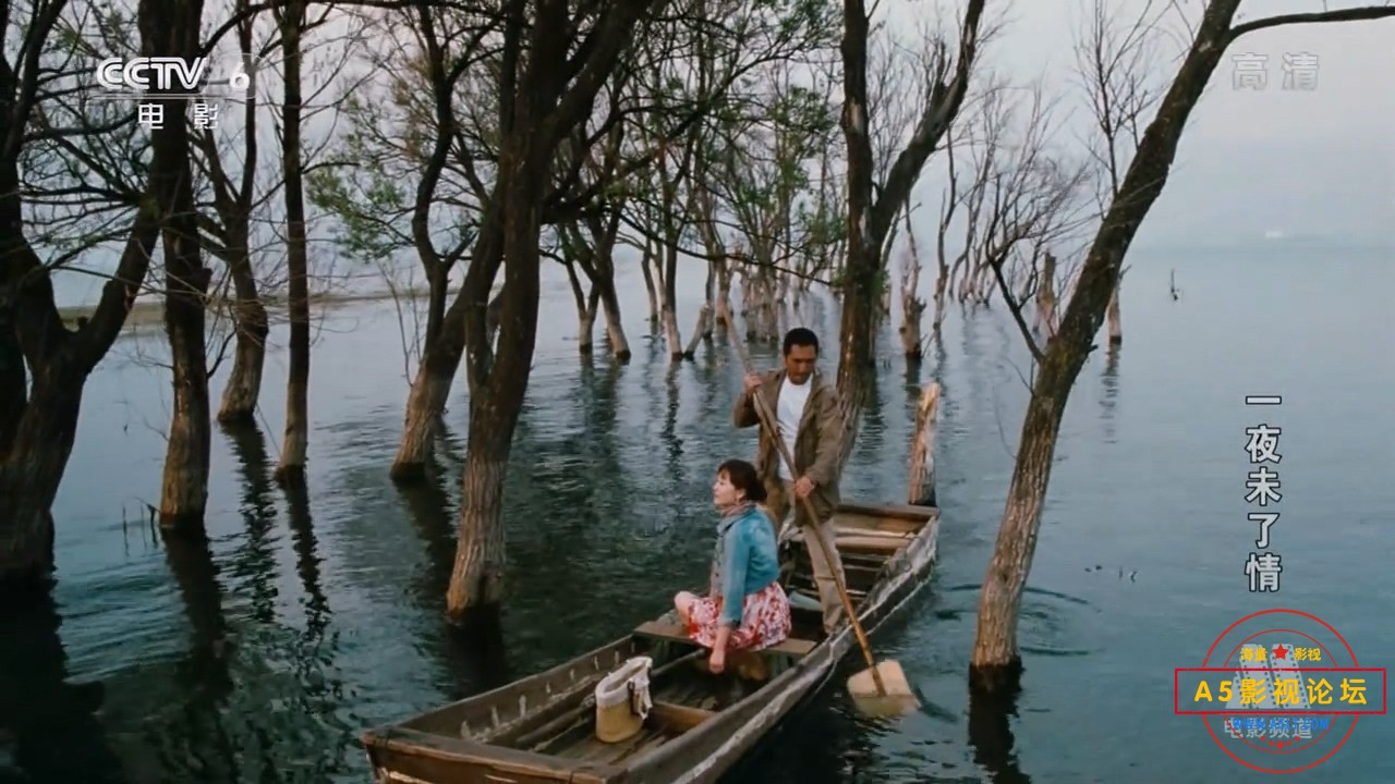 一夜未了情.HD.720p.国语.rmvb_20250220_214131.919.jpg