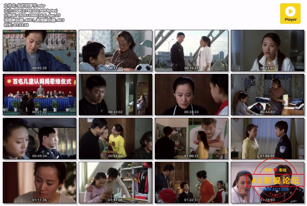 灿烂的季节.mkv.jpg