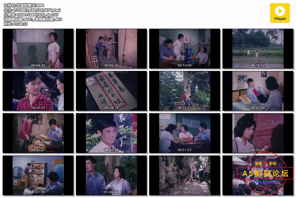 迟到的春天.MP4.jpg