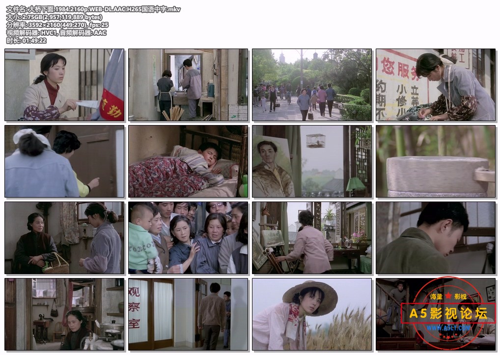 大桥下面.1984.2160p.WEB-DL.AAC.H265国语中字.mkv.jpg