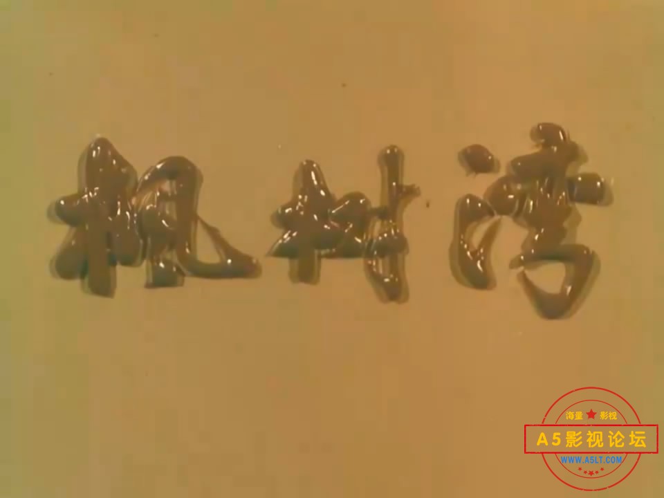 枫树湾[1976][00_00_15][20250325-194530-1].JPG