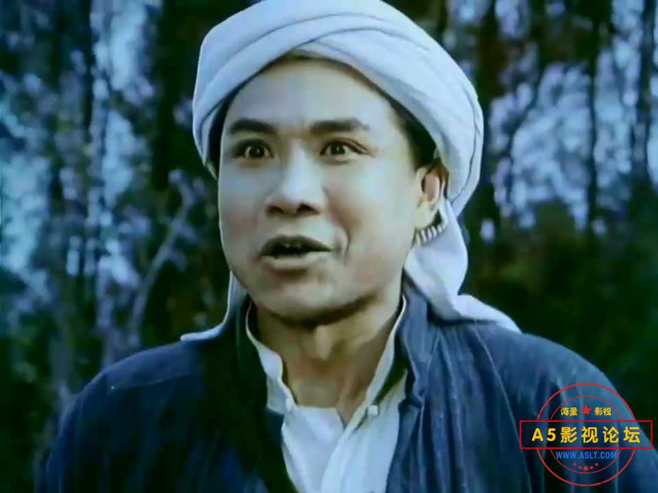 枫树湾[1976][01_48_34][20250325-194707-3].JPG