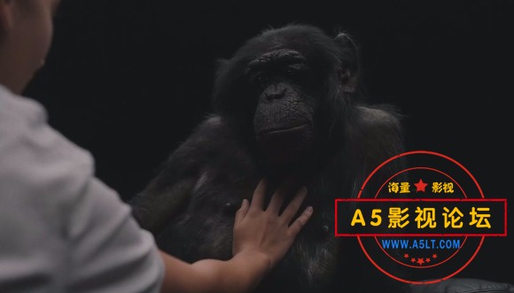 微信截图_20250409174419.png