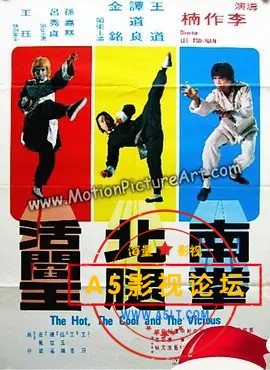 南拳北腿活阎王.jpg