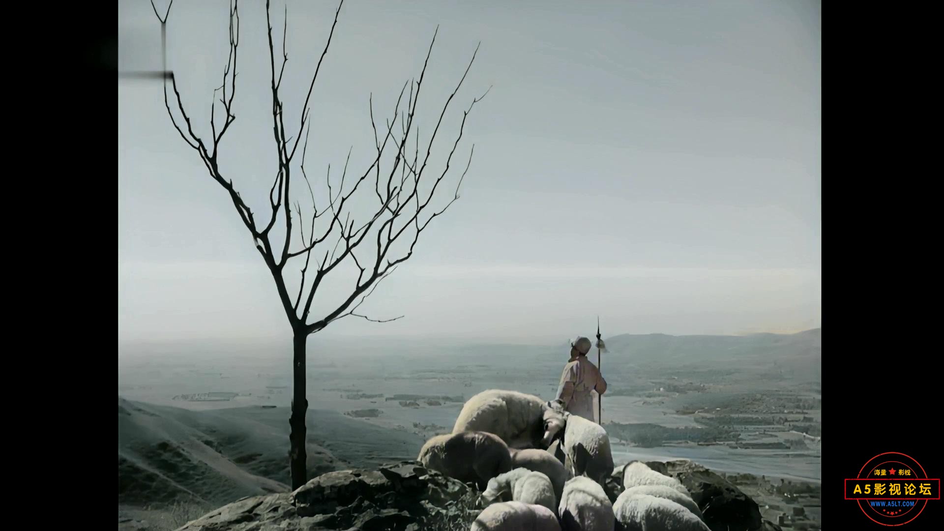 6.JPG
