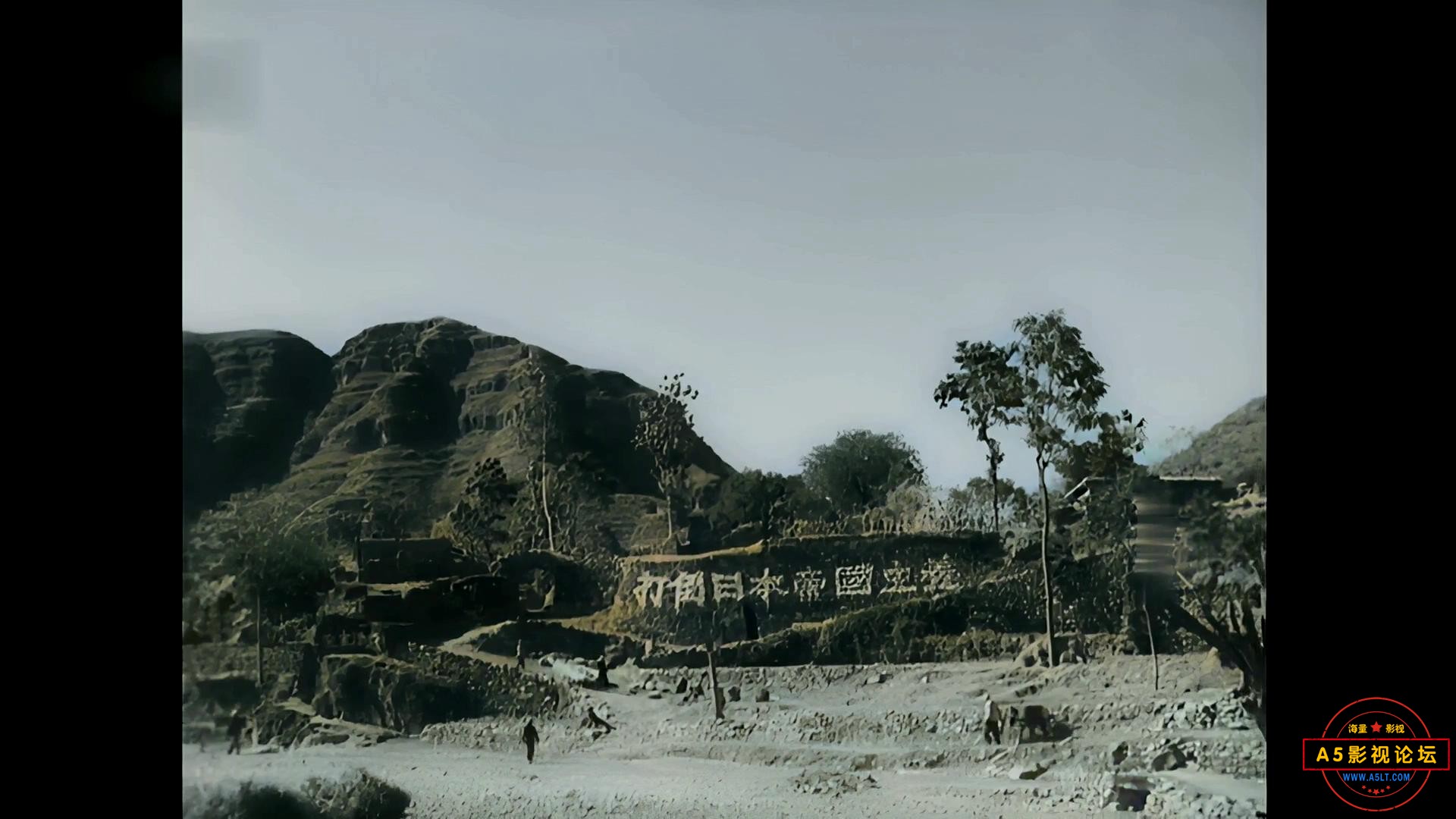 5.JPG
