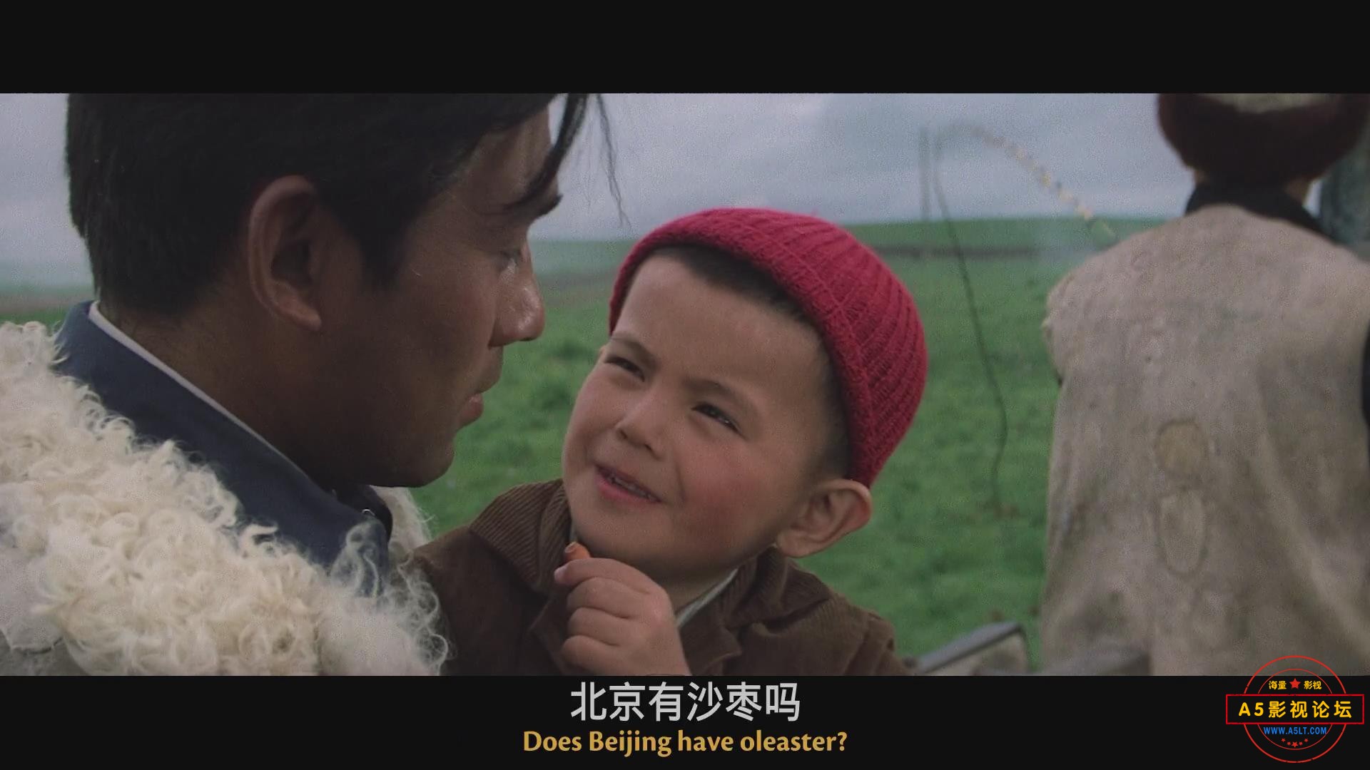 暴风截图202542820519031.jpg