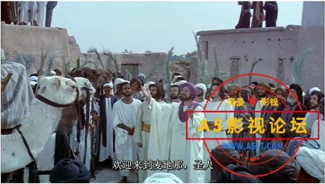微信图片_20250505114834.png
