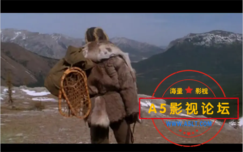 微信图片_20250505131235.png