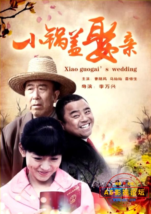 小锅盖娶亲  2011.jpg