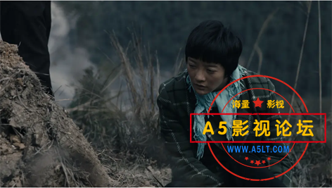 微信图片_20250509162205.png
