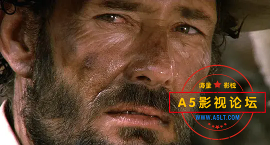 p1632370969.webp (1).png