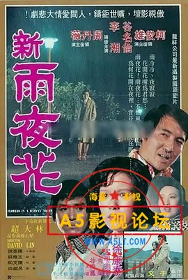 新雨夜花.jpg