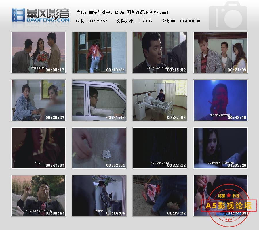 暴风快照202561726149640.jpg