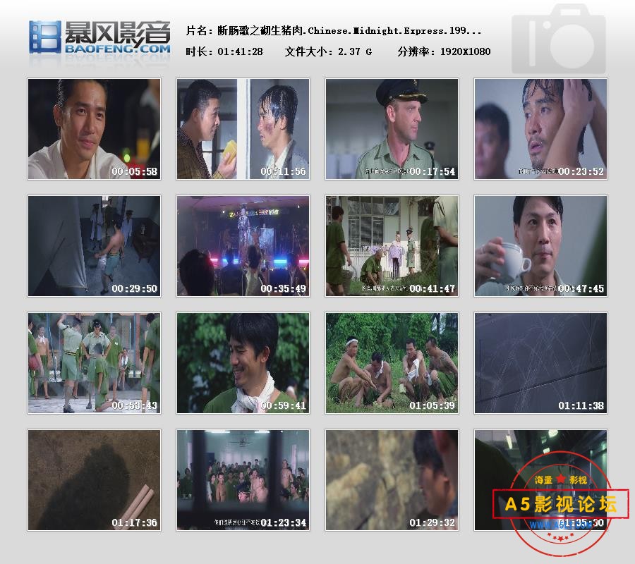 暴风快照20256255276515.jpg