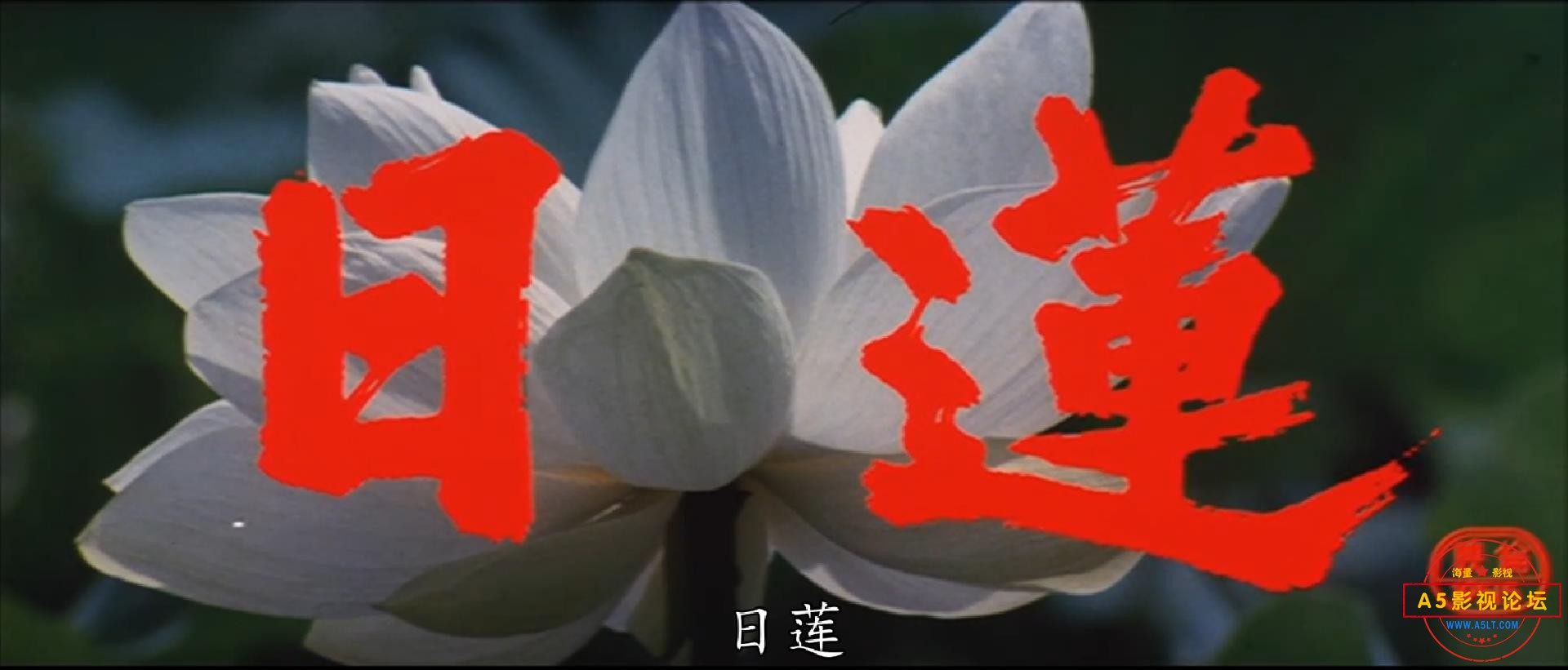 日莲.Nichiren 1979.mp4_20250718_191451776.jpg