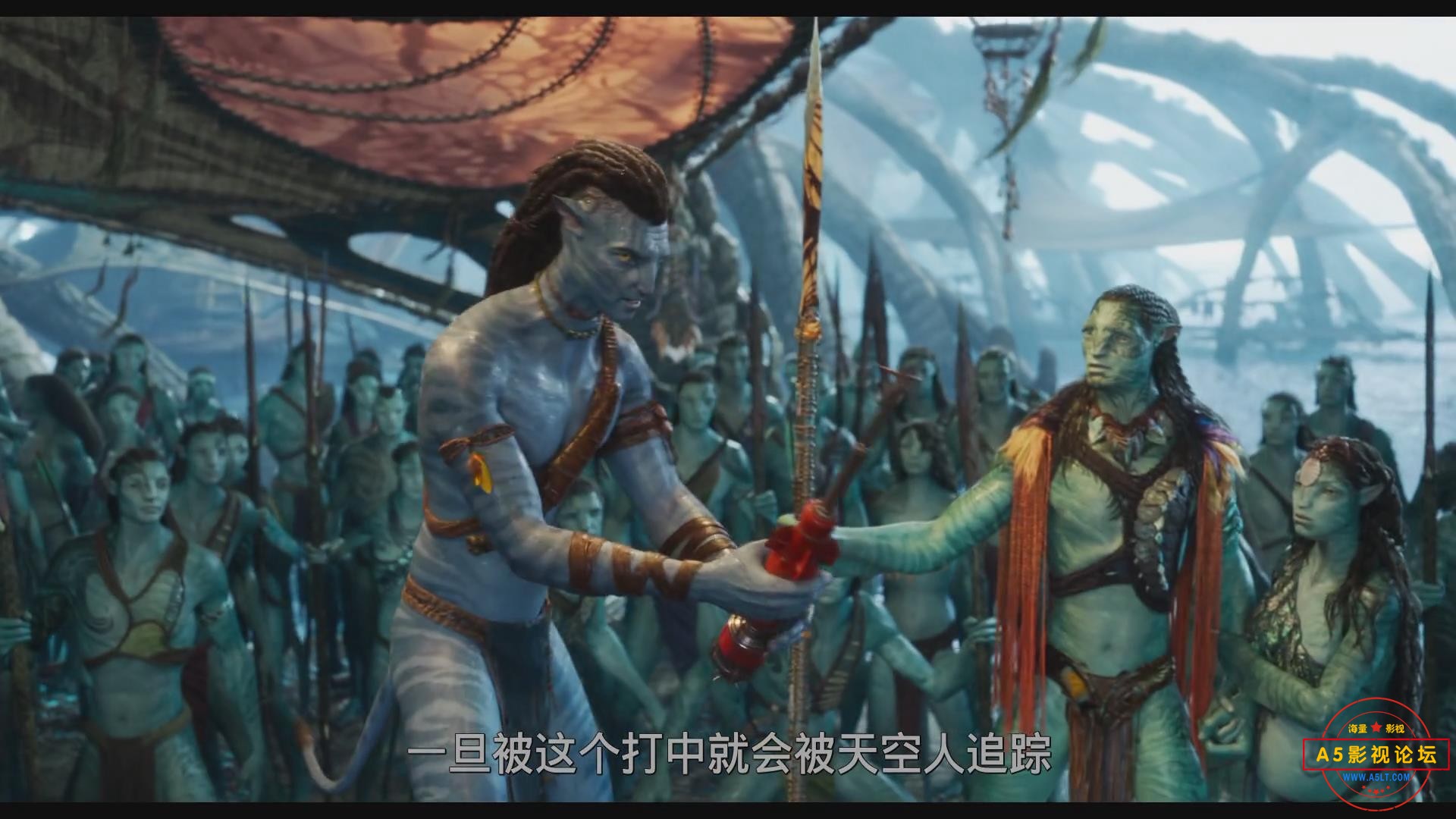 暴风截图20258125937640.jpg