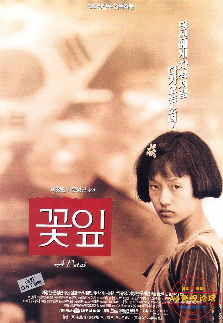 01260-花瓣.jpg